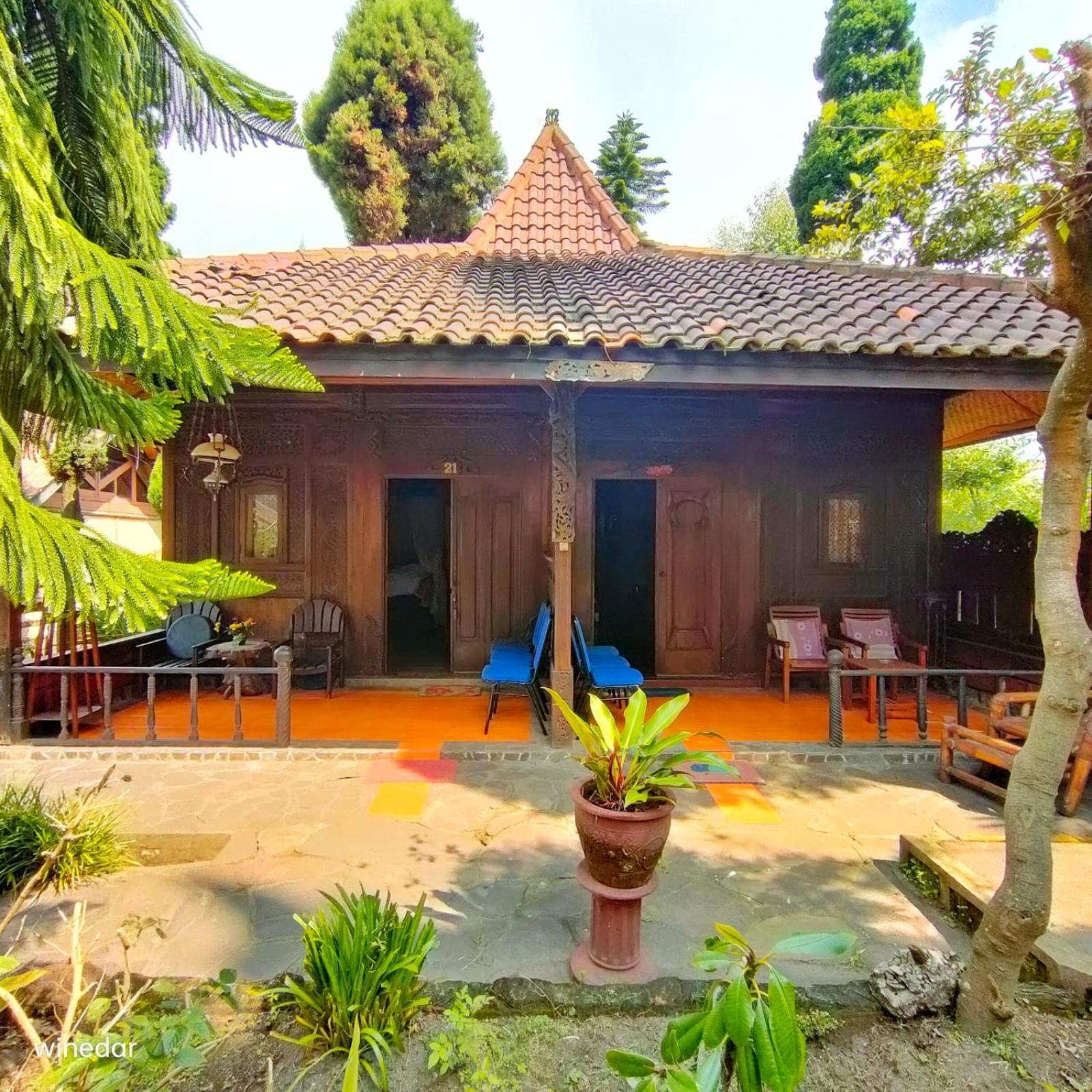 Yoschi'S Hotel Bromo Ngadisari Buitenkant foto